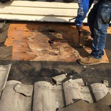Termite Control