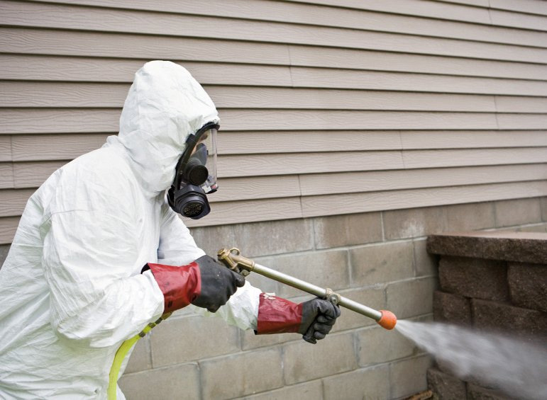 Termite Control